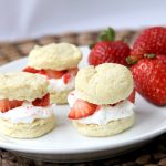 strawberry-shortcake-14a