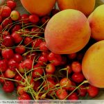 peaches and cherries