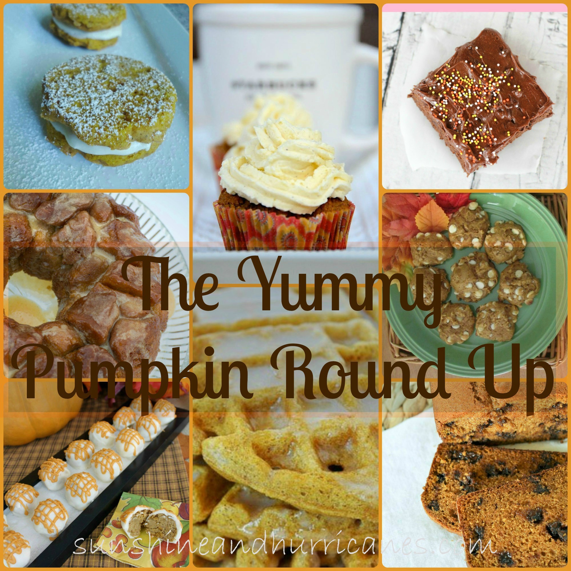 The Yummy Pumpkin Round Up Sunshine and Hurricanes