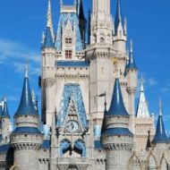 10 Ways To Survive Disney In The Summer
