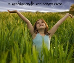 sunshineandhurricanes.com