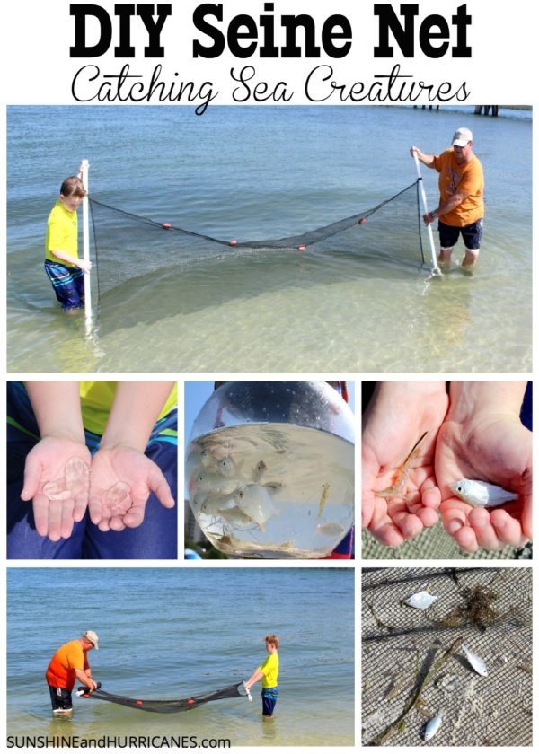 Fish Catching Net Simple DIY Sea Creature Catching Net