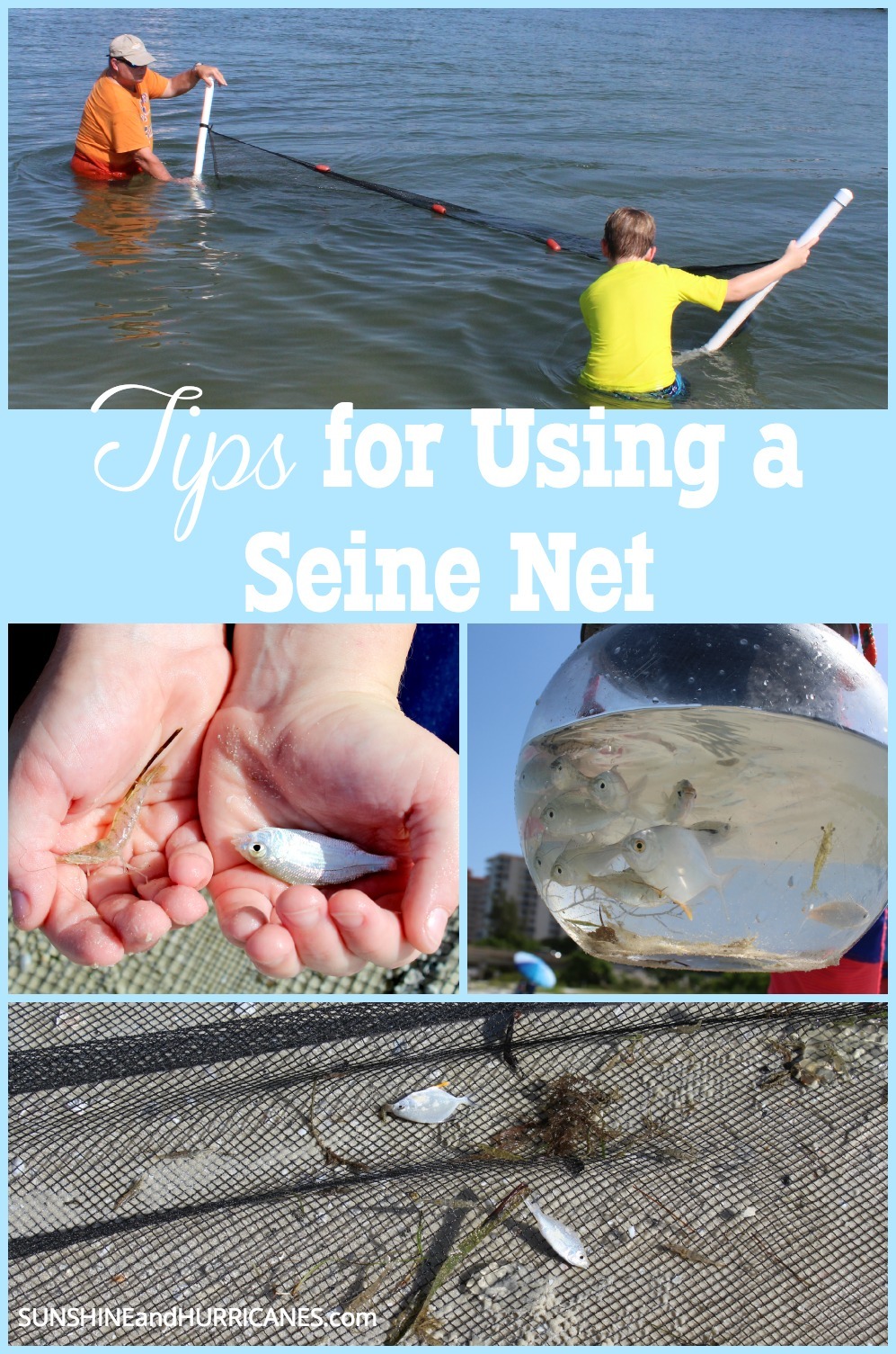 Tips for Using A Seine Net