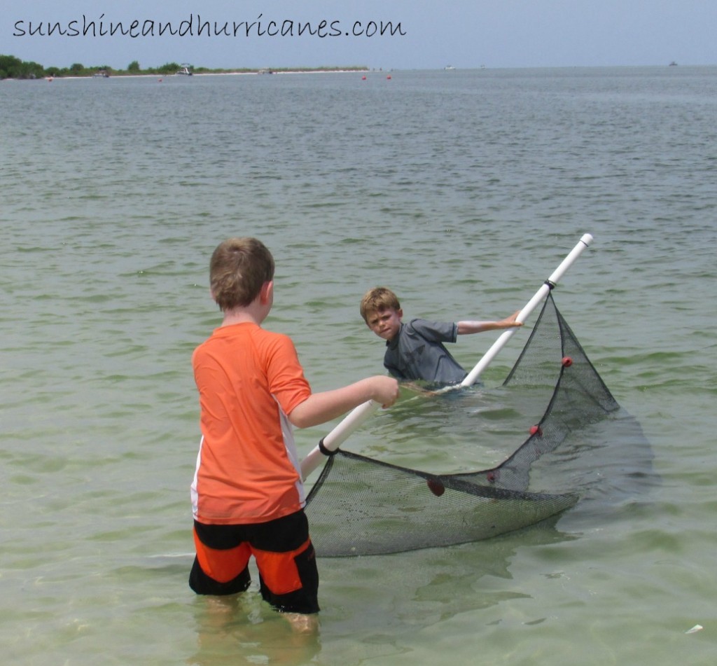 How to Use a Seine Net