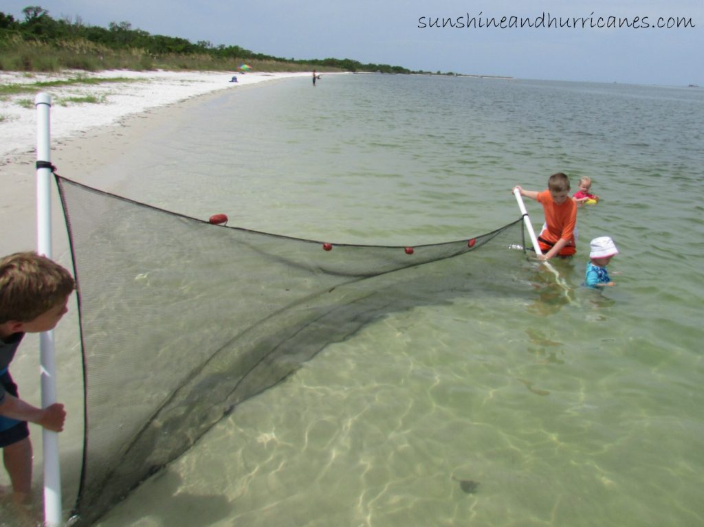 Tips for Using A Seine Net