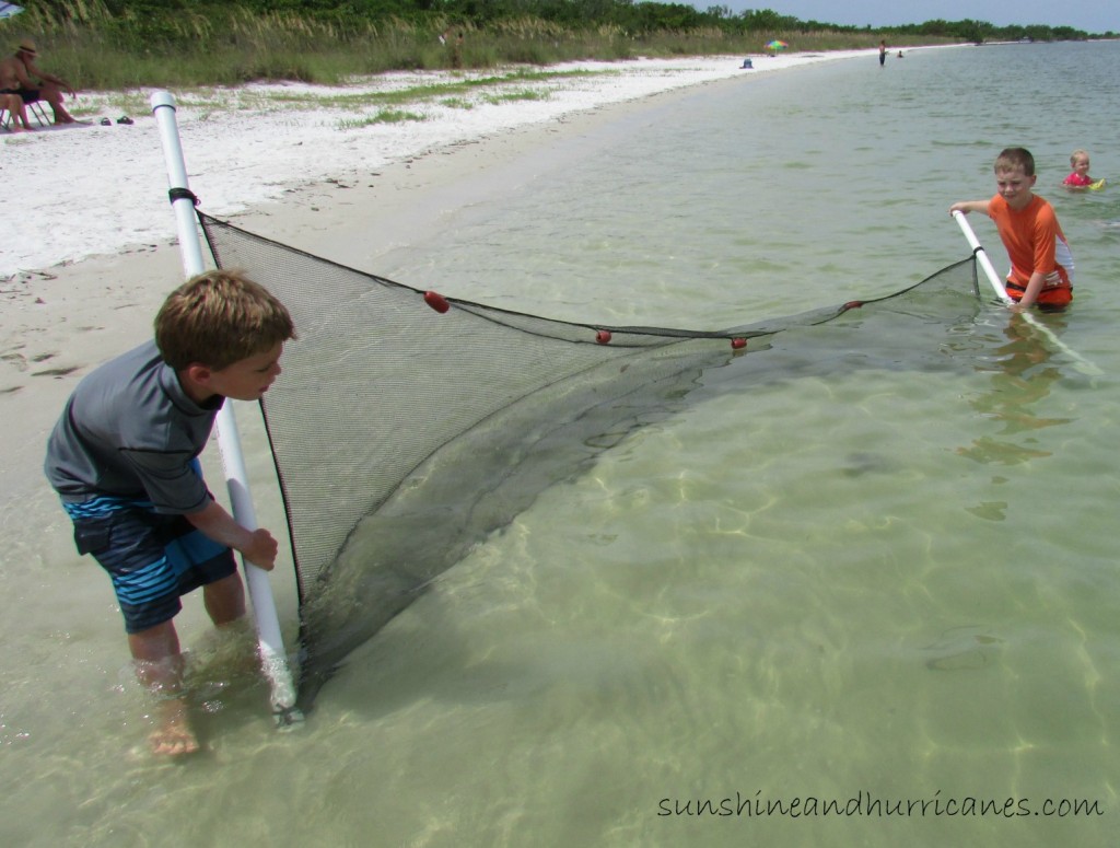 Tips for Using A Seine Net