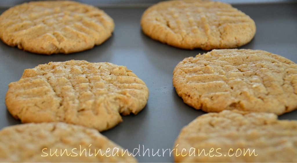 peanut butter cookie ice cream sandwich