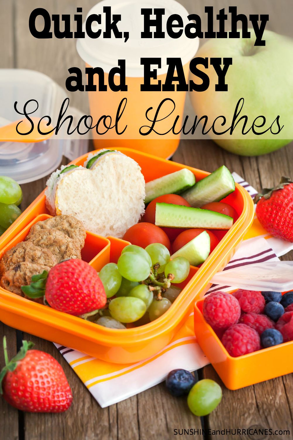 Quick, Healthy and Easy School Lunches Main 2