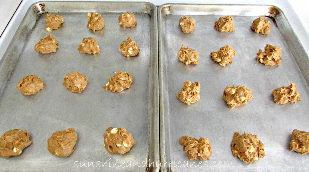 3 Ingredient Pumpkin Cookies