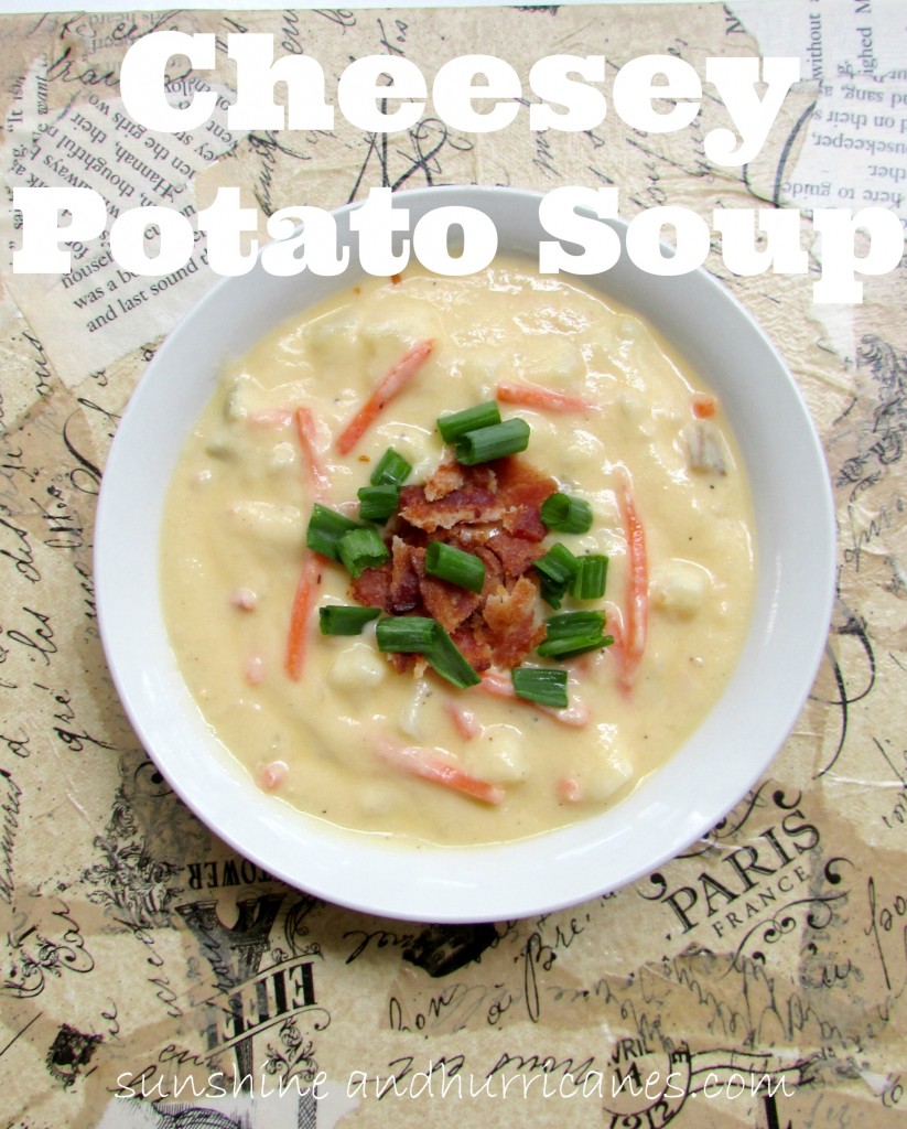 Cheesey Potato Soup is full of thick, creamy goodness, a fantastic comfort food and a great, fast meal for busy families.