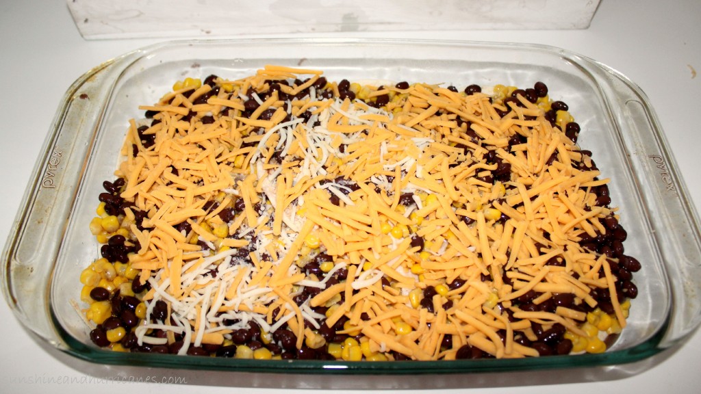 Tex Mex Lasagna