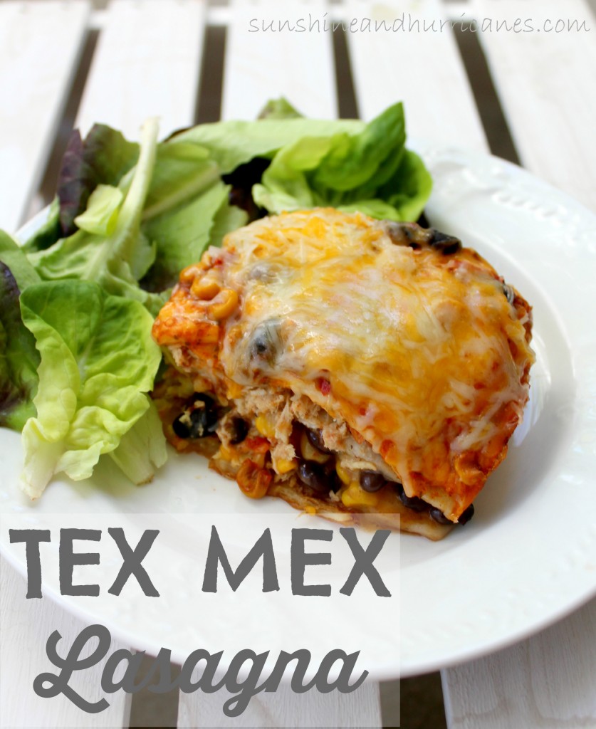 Tex-Mex Lasagna is a simple meal to prepare, comes to gather fast and is easily made with whatever ingredients you have on hand.