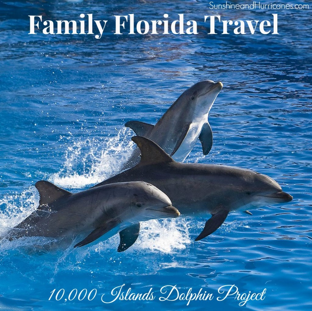 Looking for a unique experience with your kids on a family visit to Florida or even just a fun day trip if you live in Florida? You won't want to miss the 10,000 Islands Dolphin Project in Marco Island, Florida. A fantastic hands on family excursion that will create memories to last a lifetime. Florida Family Travel - 10,000 Islands Dolphin Project. sunshineandhurricanes.com