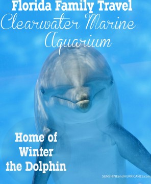 Clearwater Marine Aquarium