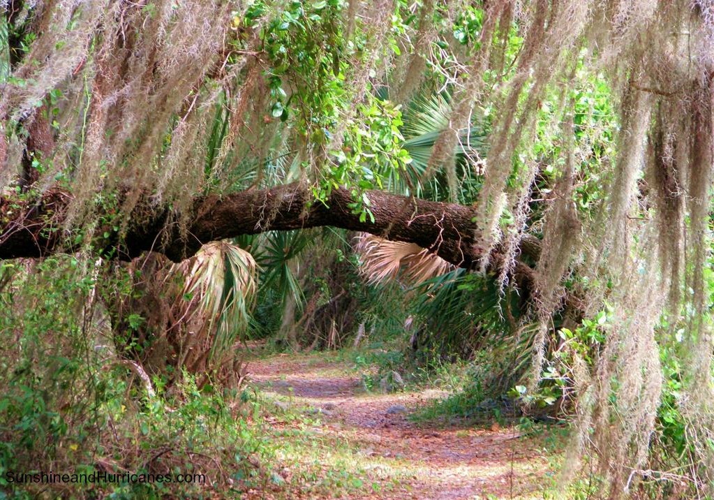 Myakka River State Park