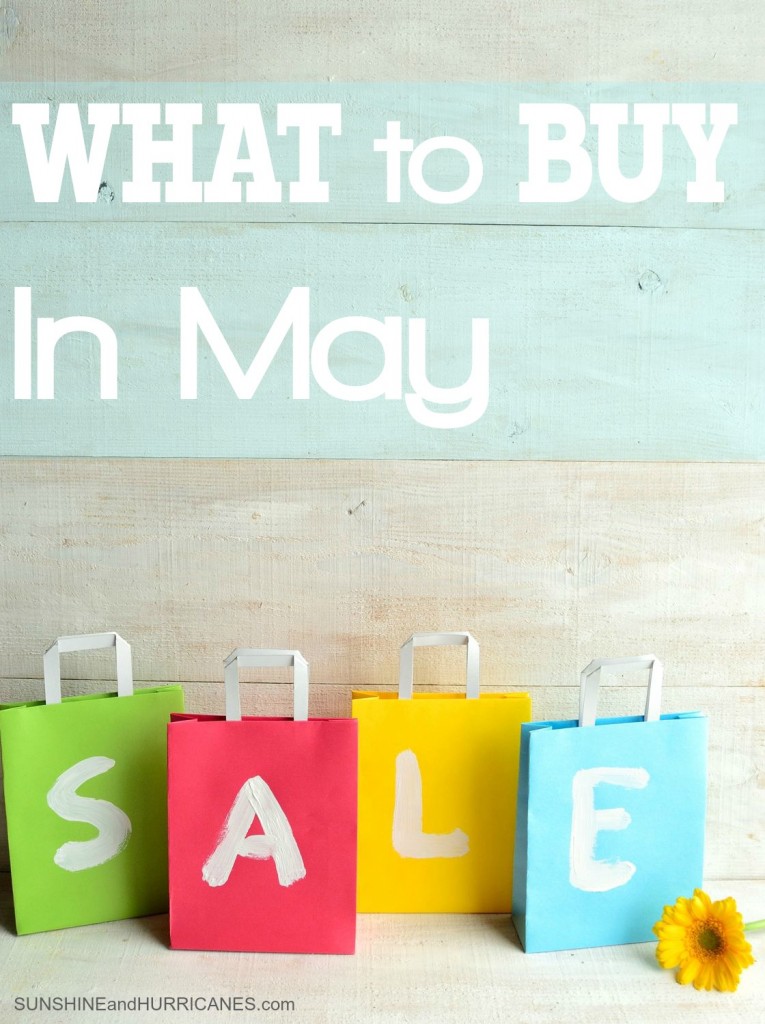 Want to know where you'll save the most money and what products and services will be on their best deals of the year this month? We'll save you money and help you know when is the best time to buy. Click to find out What to Buy in May. SunshineandHurricanes.com