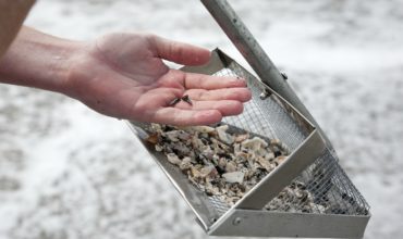 Florida Family Travel Hunting Shark's Teeth