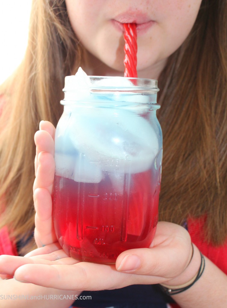 Patriotic Punch and Flag Cookies