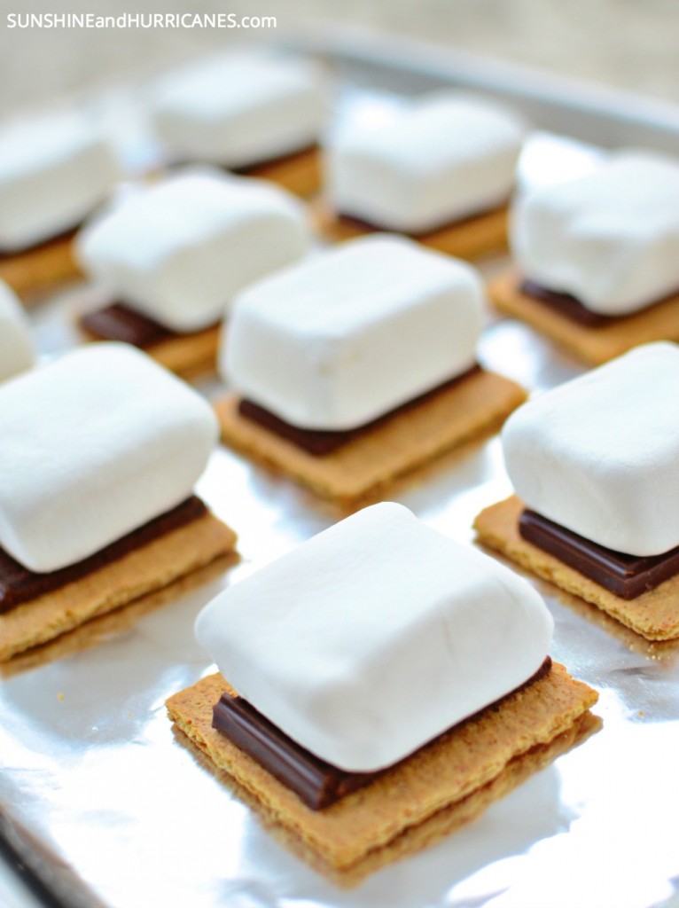 10 Minutes S'mores Ice Cream Sandwich Cake. SunshineandHurricanes.com