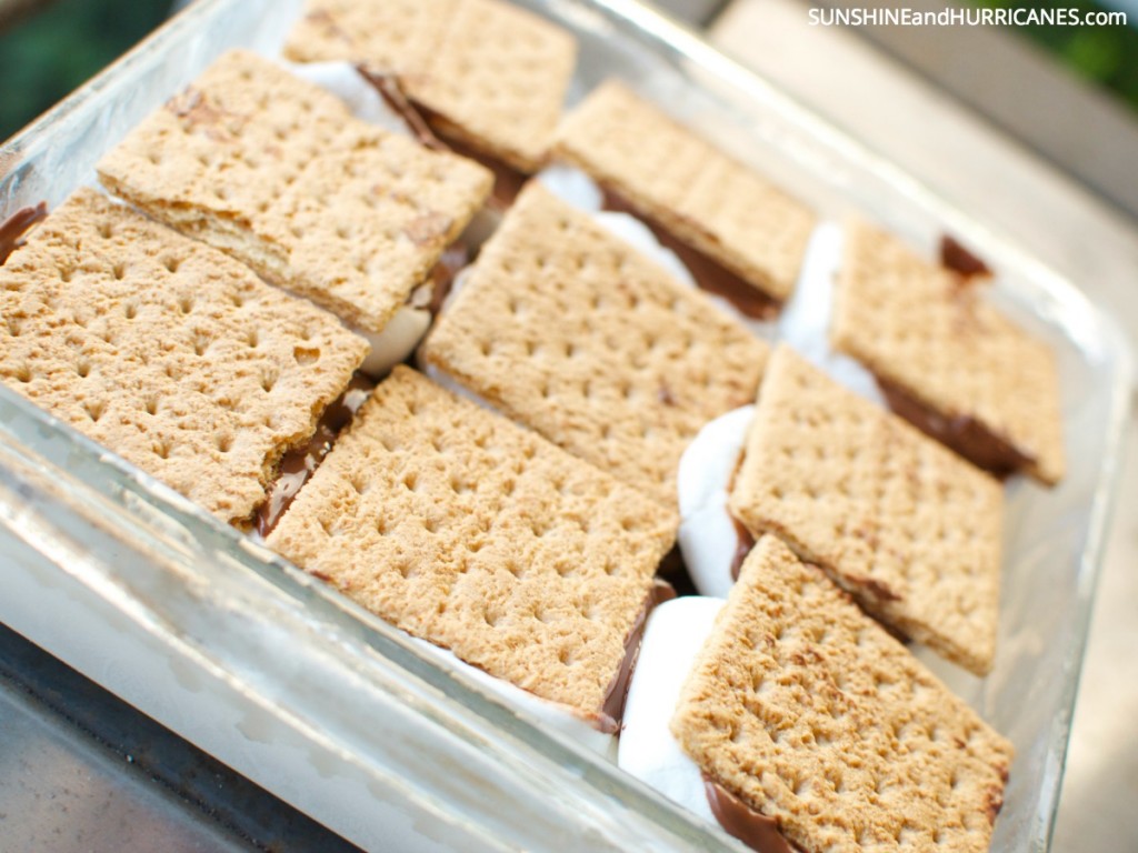 10 Minute S'mores Ice Cream Sandwich Cake