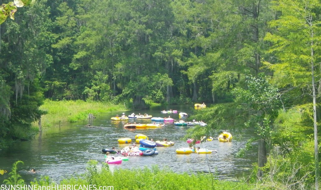 Ichetucknee Springs