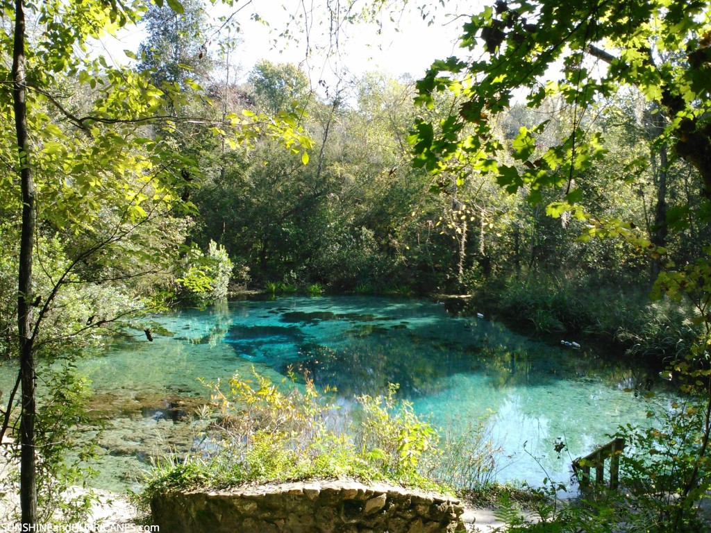 Ichetucknee Springs