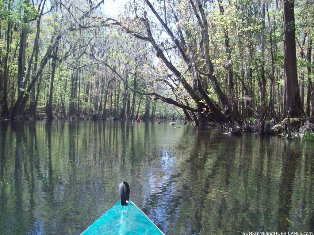 Ichetucknee Springs