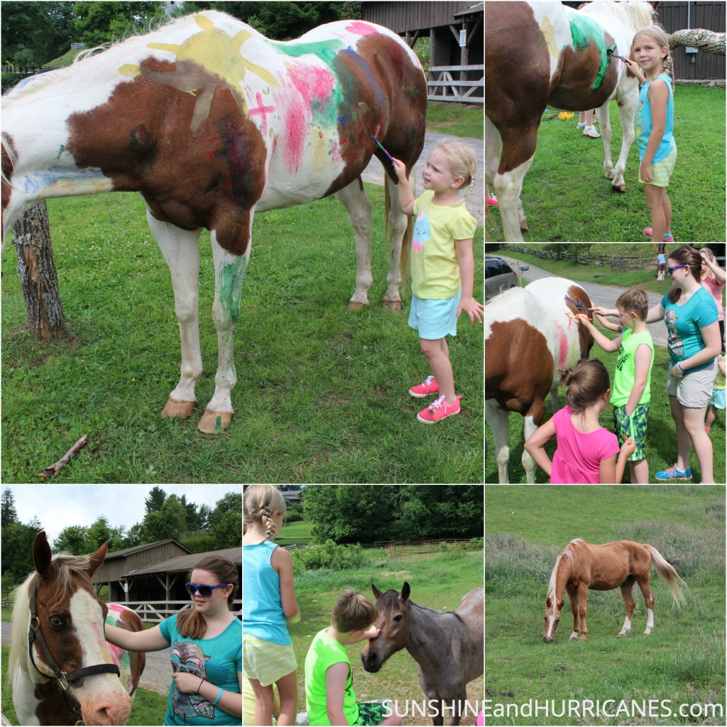 Family Travel Maggie Valley North Carolina