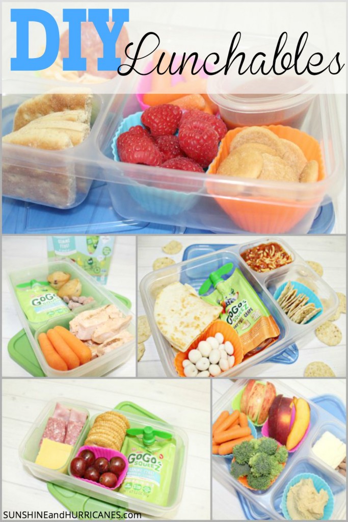 Diy Lunchables - Diy Ideas For School Lunches
