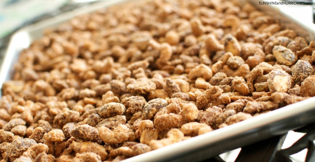 Sugared Mixed Nuts Recipe