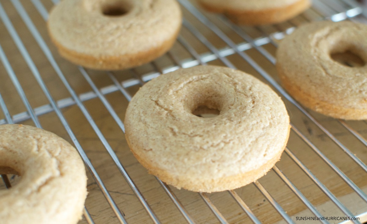 Cinnamon and Sugar Baked Donut Recipe