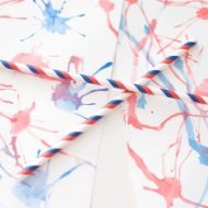 4th of July Craft – Patriotic Painting