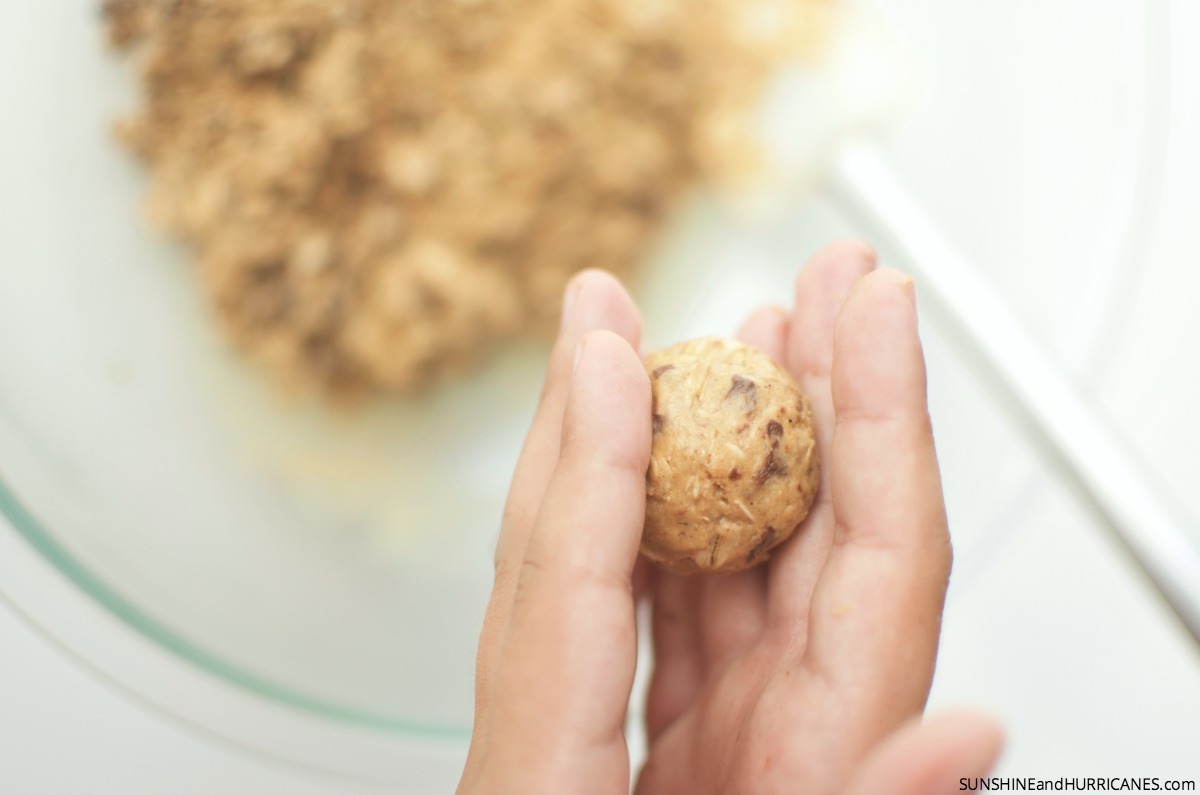 No Bake Peanut Butter Protein Balls