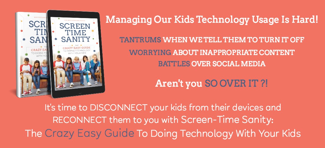 Screen Time Sanity Promo Box 1