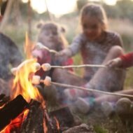 Summer Camp Themed Activities For kids